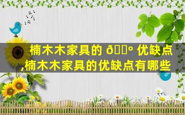 楠木木家具的 🐺 优缺点,楠木木家具的优缺点有哪些